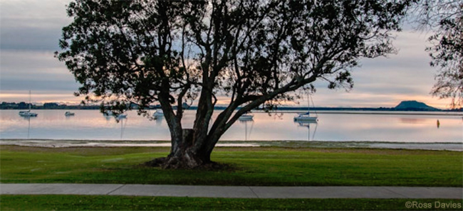 Omokoroa Beach within Tauranga Harbour